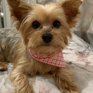 Meet your Posher, Angela